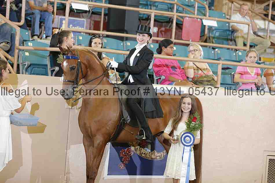 Proof 13yn_05437