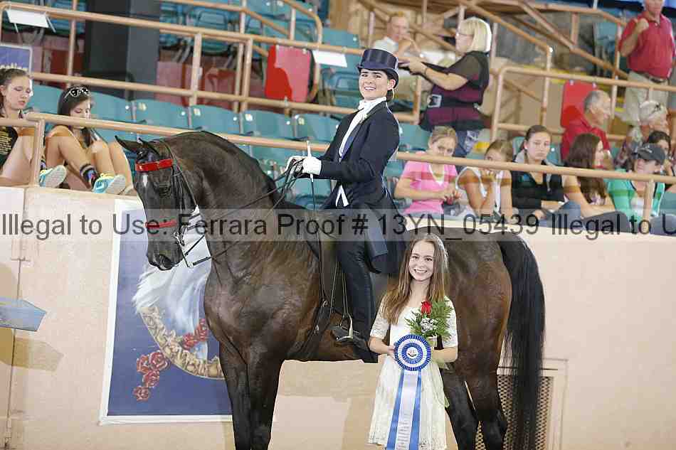 Proof 13yn_05439