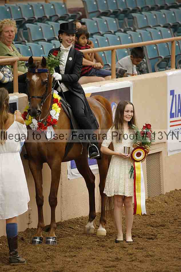 Proof 13yn_05455