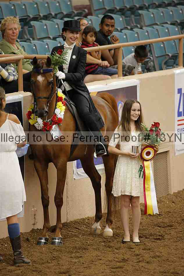Proof 13yn_05457