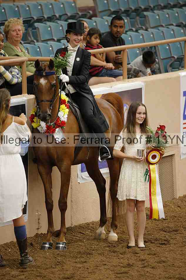 Proof 13yn_05458