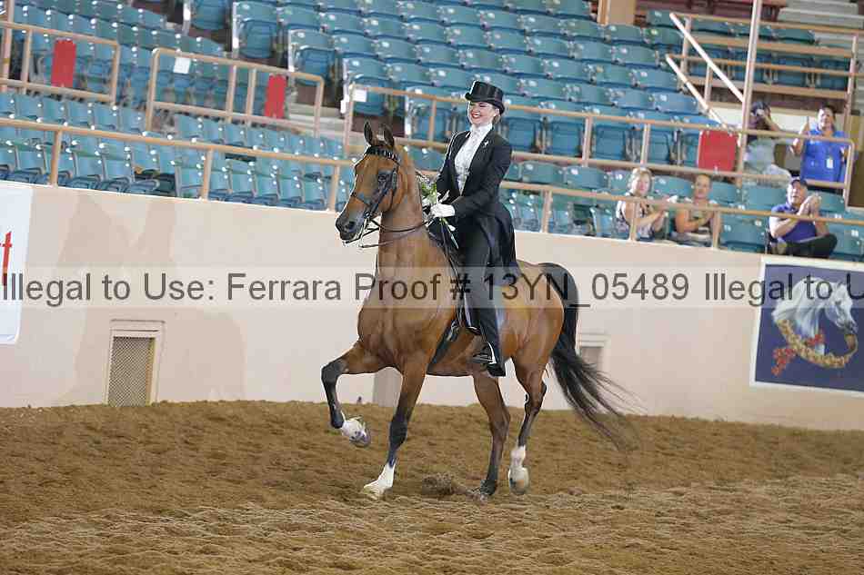 Proof 13yn_05489