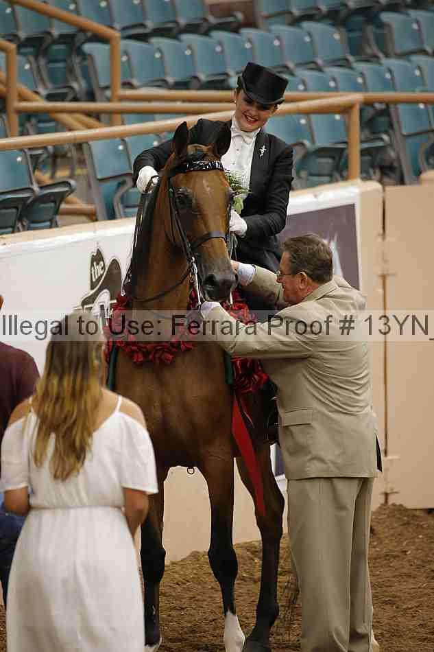 Proof 13yn_05502