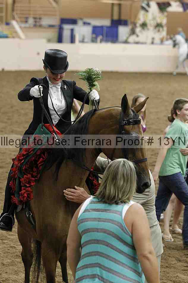 Proof 13yn_05503