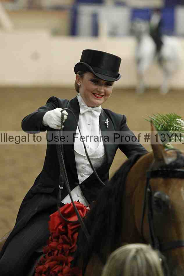 Proof 13yn_05505