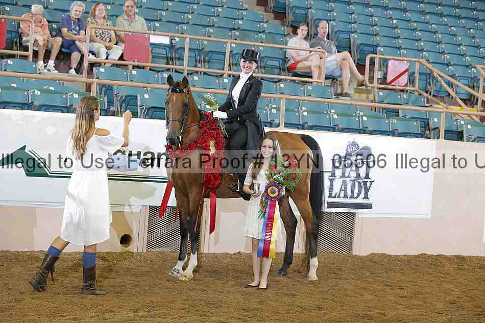 Proof 13yn_05506