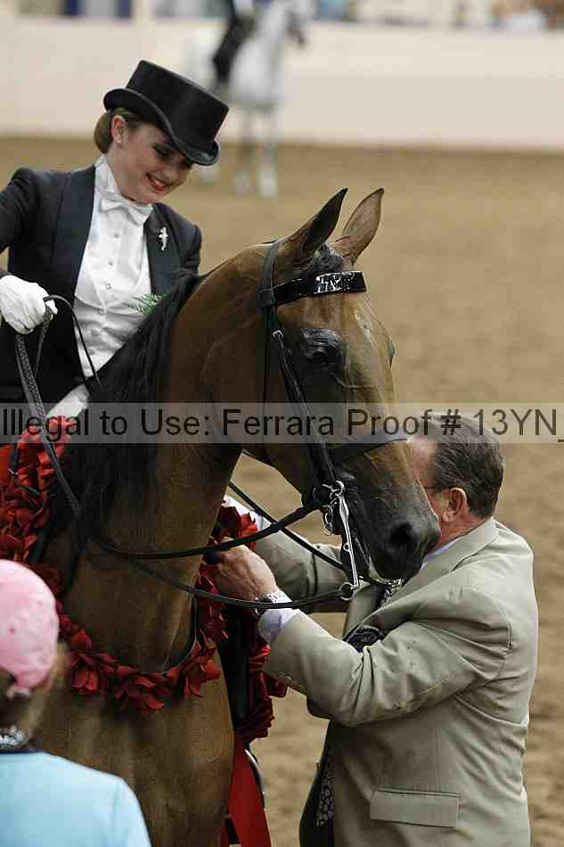 Proof 13yn_05509