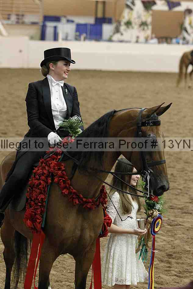 Proof 13yn_05517
