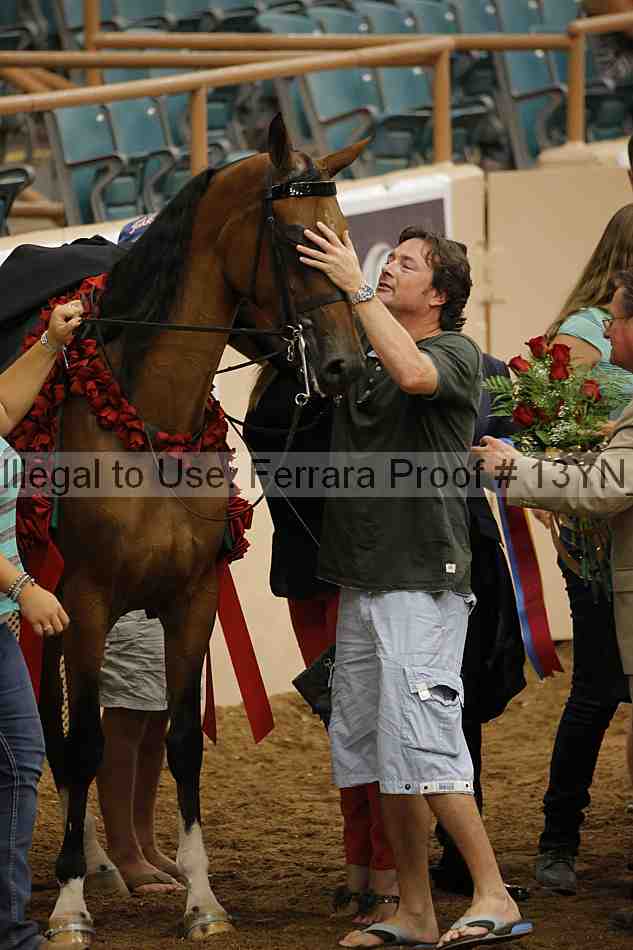 Proof 13yn_05528