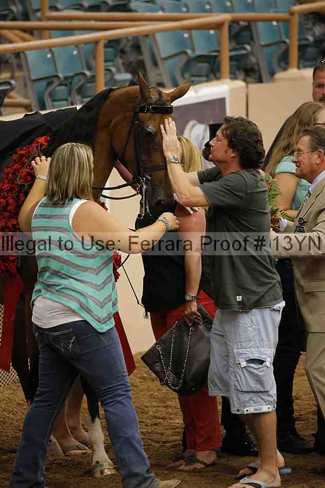 Proof 13yn_05529