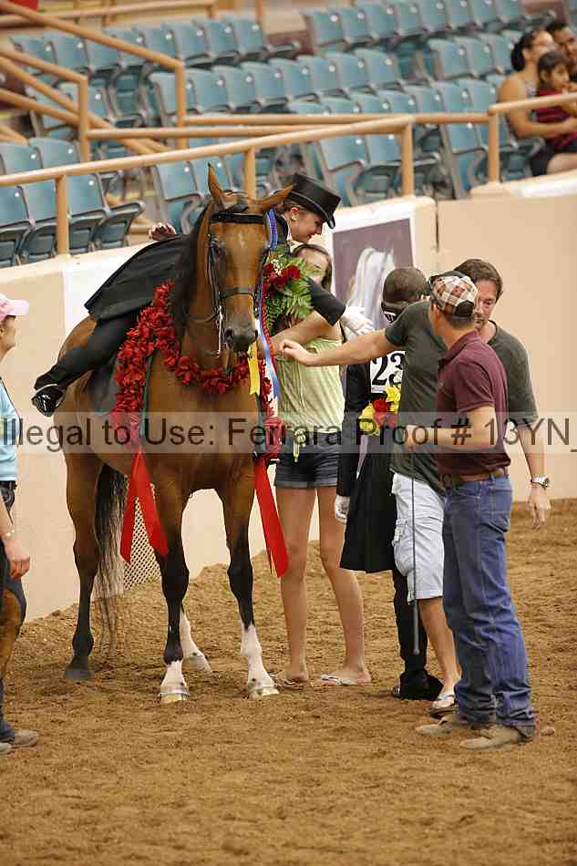 Proof 13yn_05545