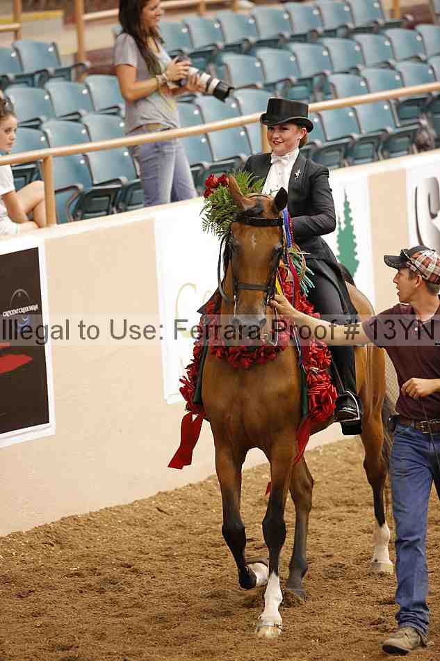 Proof 13yn_05549