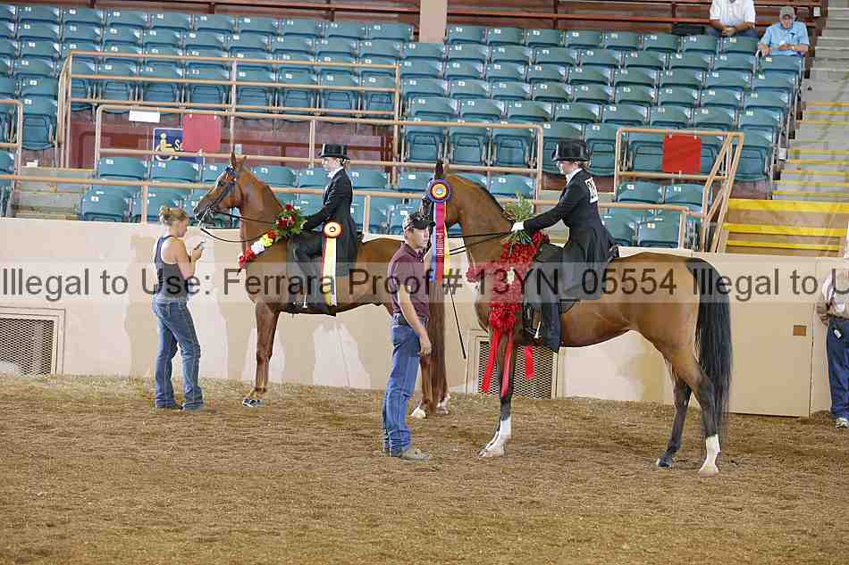 Proof 13yn_05554