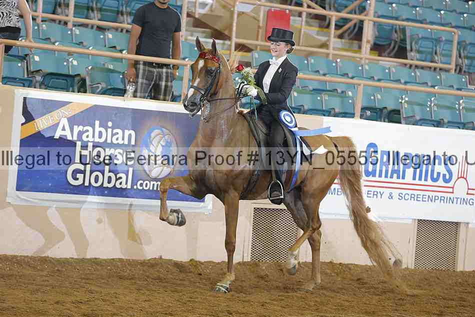 Proof 13yn_05555