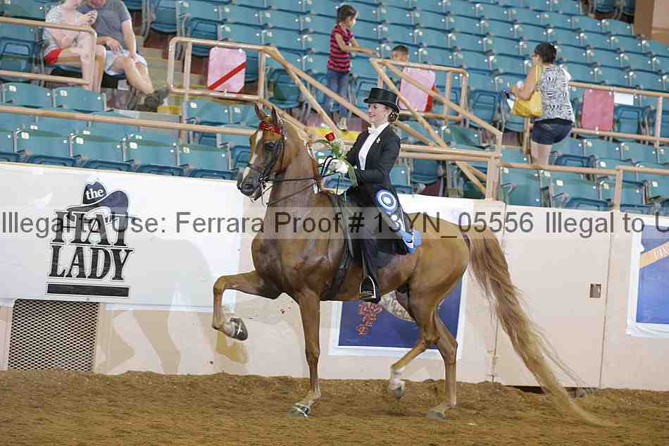 Proof 13yn_05556