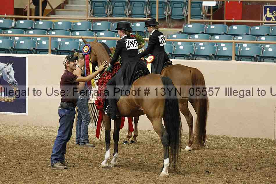 Proof 13yn_05557