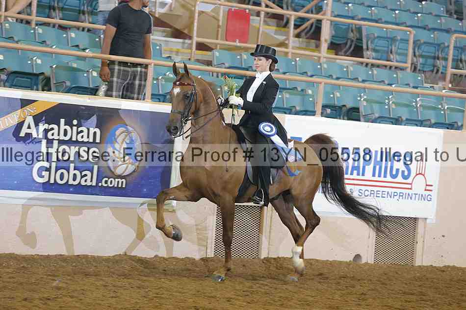 Proof 13yn_05558