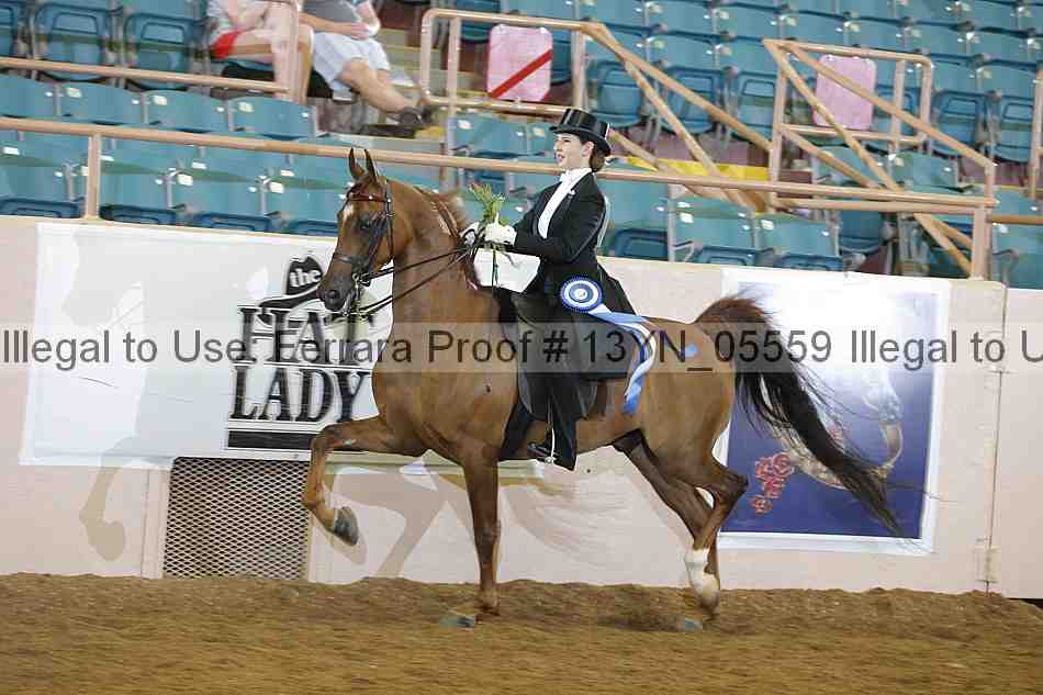 Proof 13yn_05559