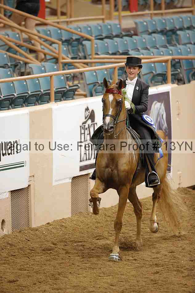 Proof 13yn_05562