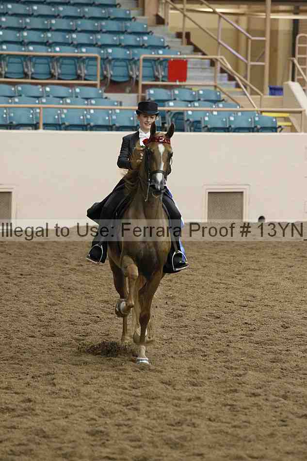 Proof 13yn_05564