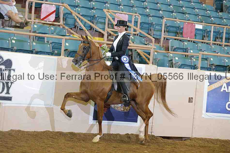 Proof 13yn_05566