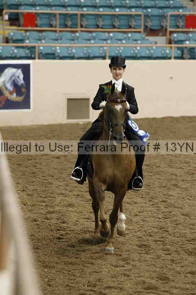 Proof 13yn_05568