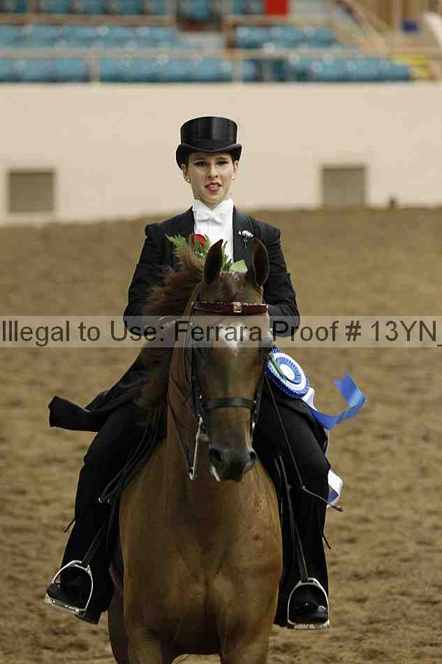 Proof 13yn_05570