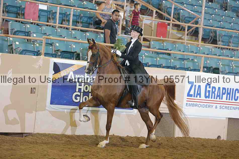 Proof 13yn_05571