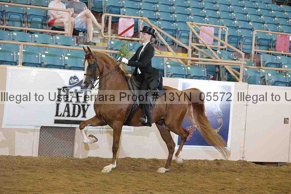 Proof 13yn_05572