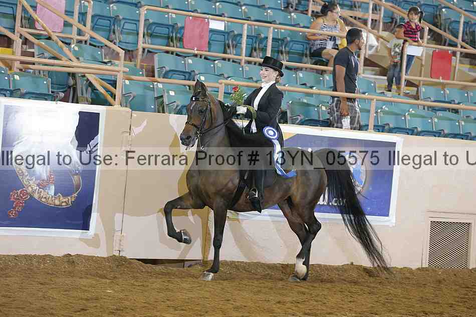 Proof 13yn_05575