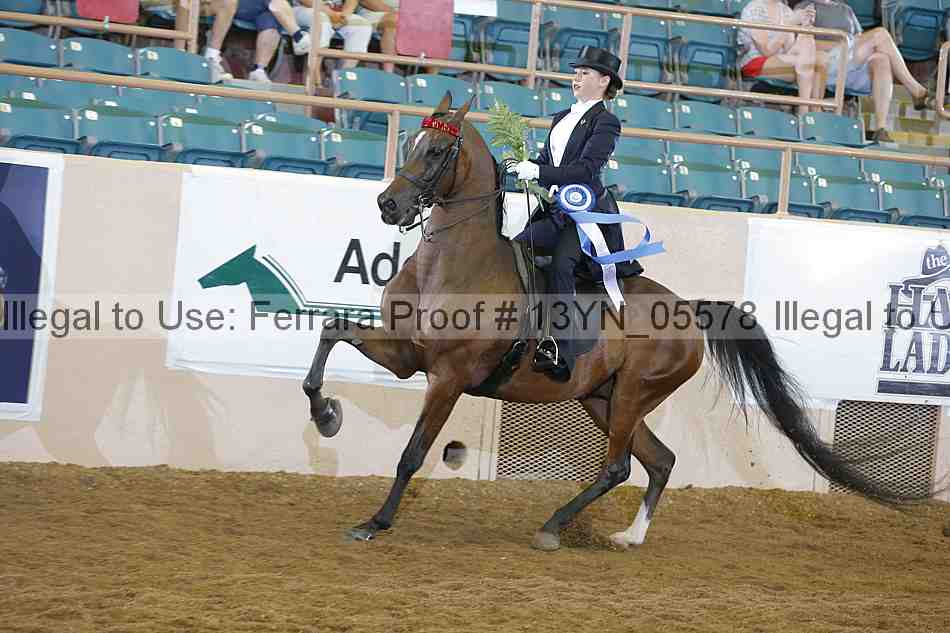 Proof 13yn_05578