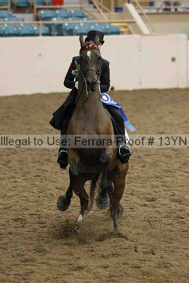 Proof 13yn_05580