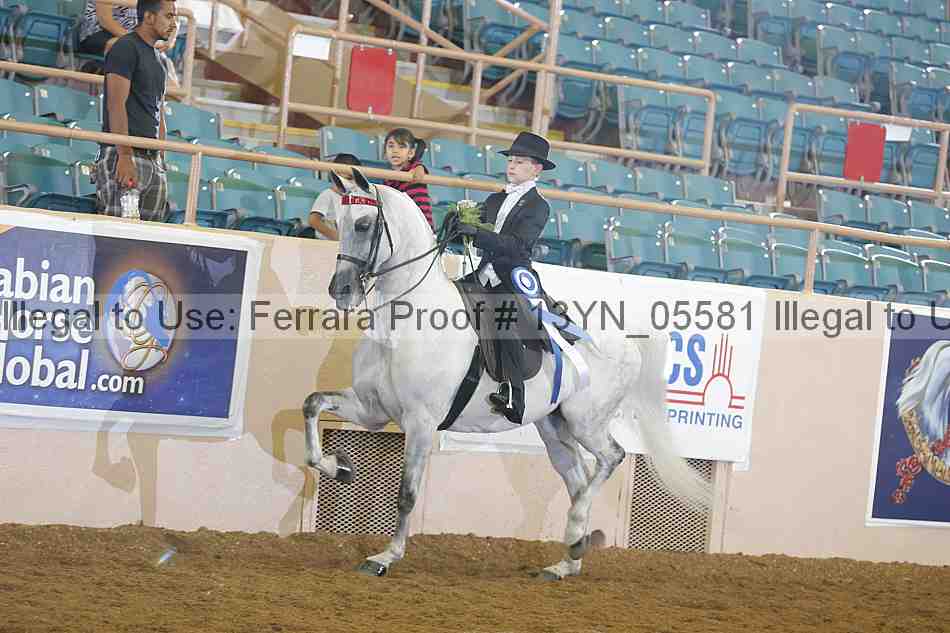 Proof 13yn_05581