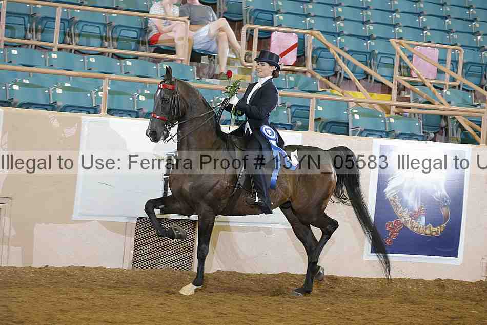 Proof 13yn_05583