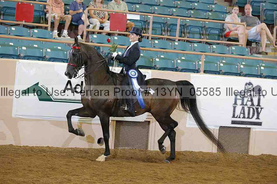 Proof 13yn_05585
