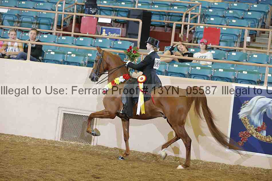 Proof 13yn_05587