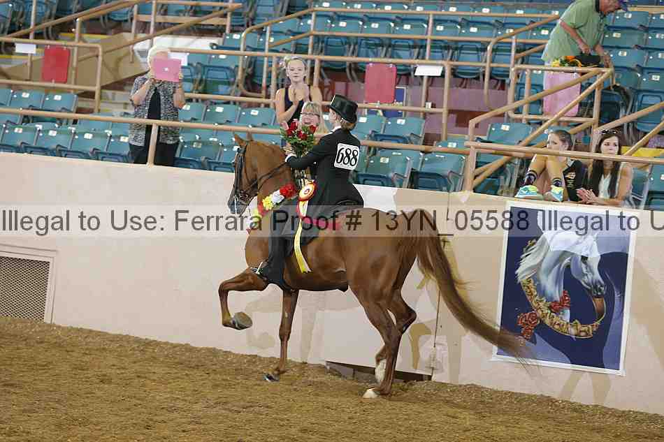 Proof 13yn_05588