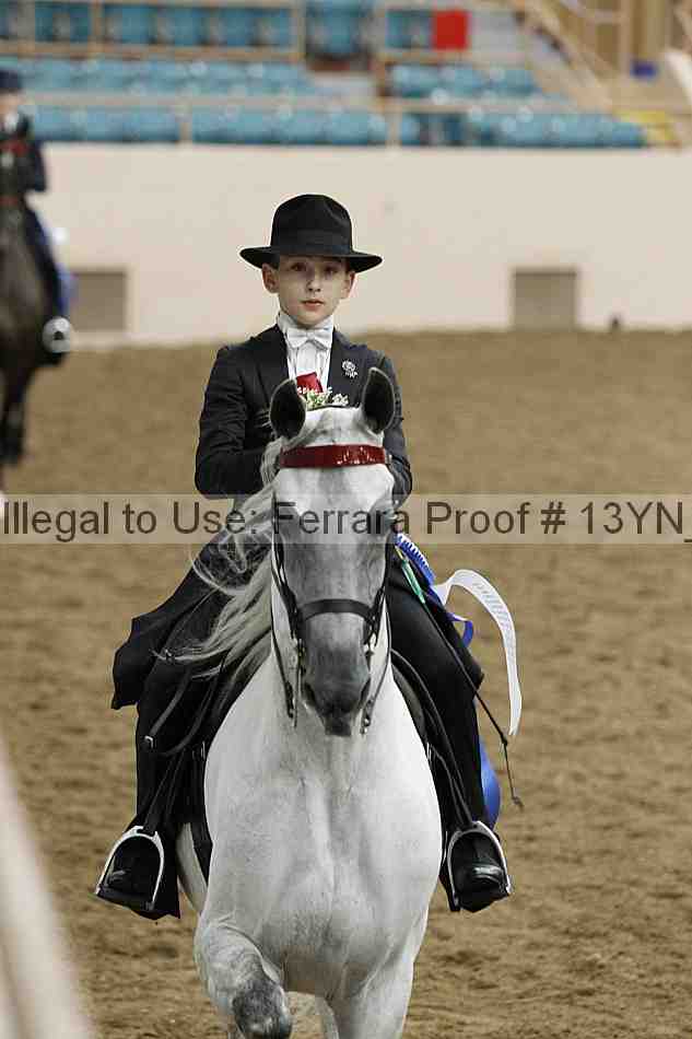 Proof 13yn_05590