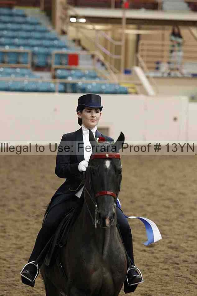 Proof 13yn_05591