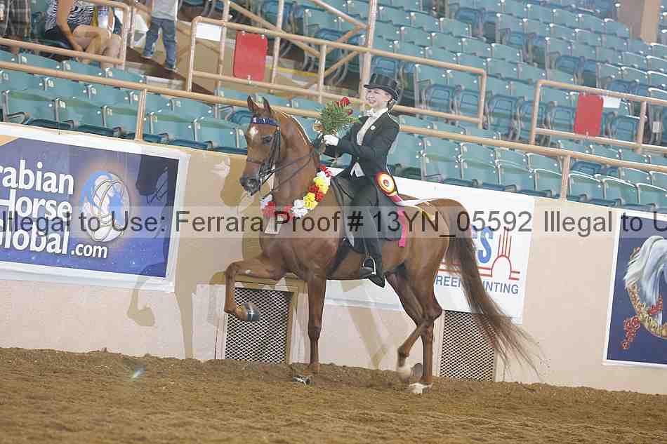 Proof 13yn_05592