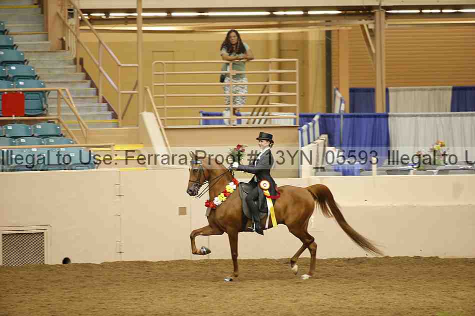 Proof 13yn_05593