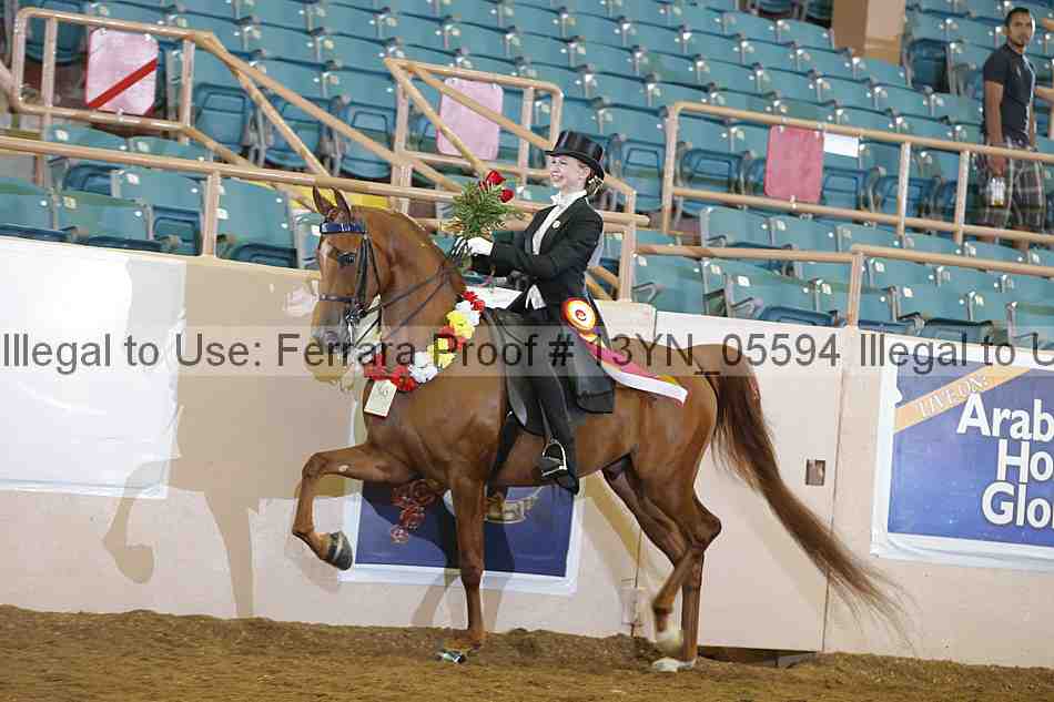 Proof 13yn_05594