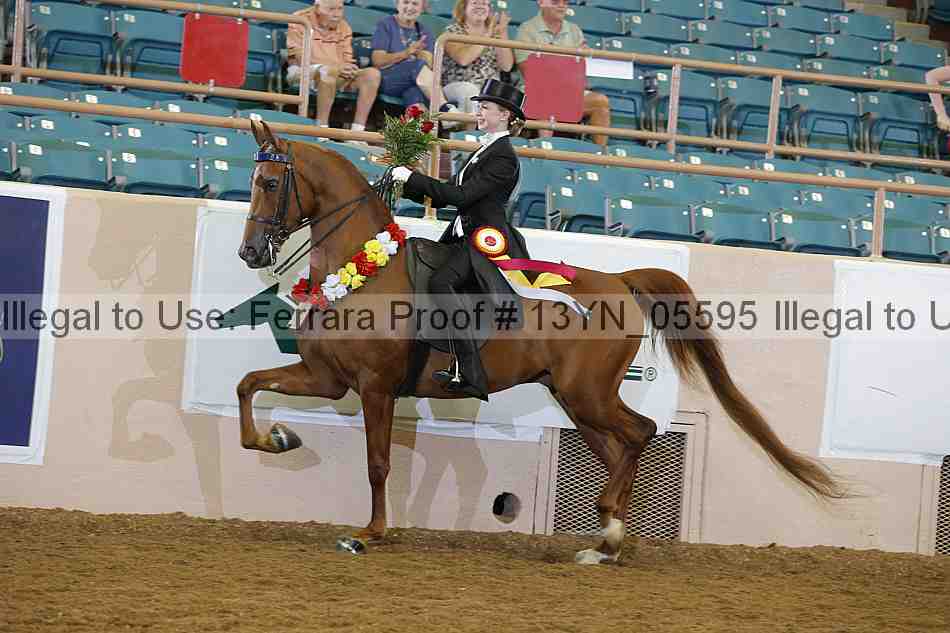 Proof 13yn_05595