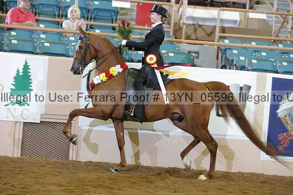 Proof 13yn_05596