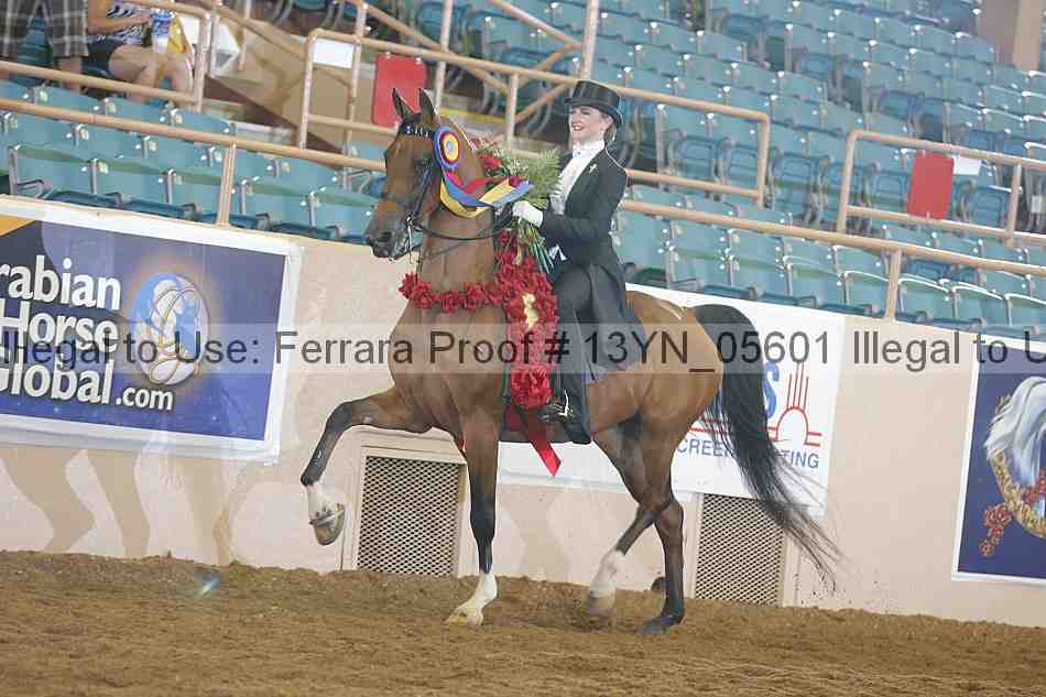 Proof 13yn_05601