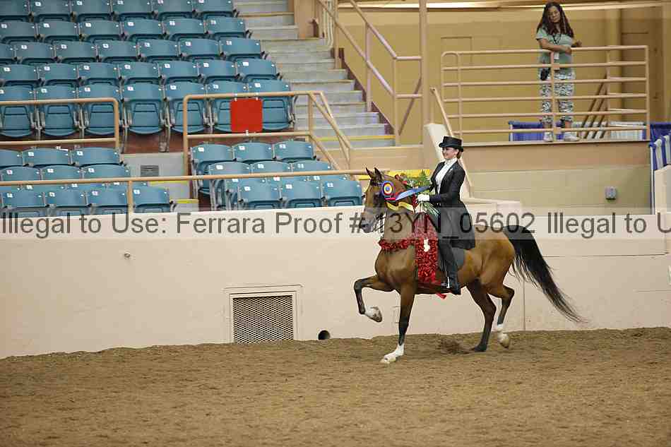 Proof 13yn_05602