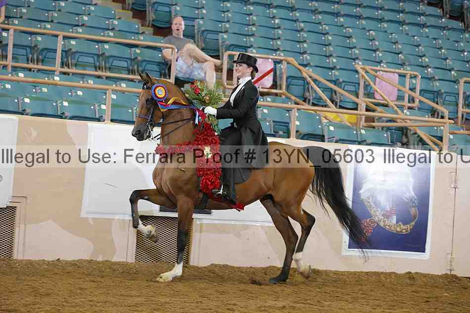 Proof 13yn_05603