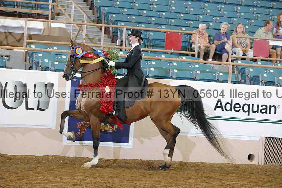 Proof 13yn_05604