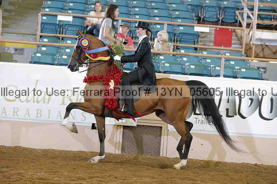 Proof 13yn_05605