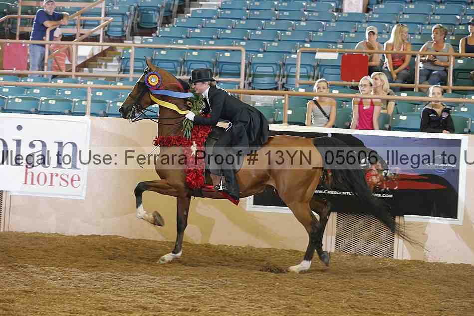 Proof 13yn_05606